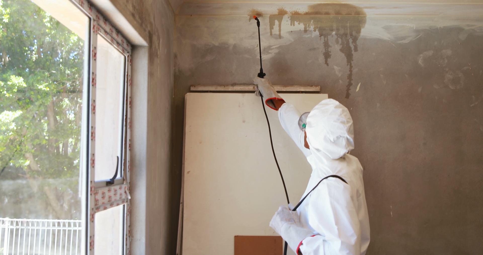 State Termite Technician