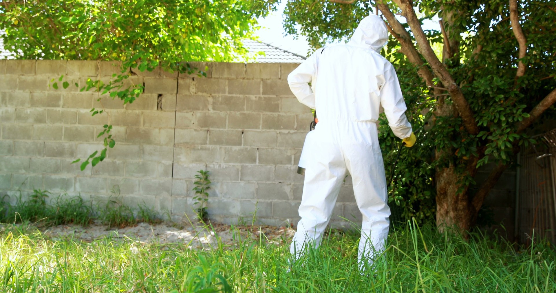 Termite Prevention